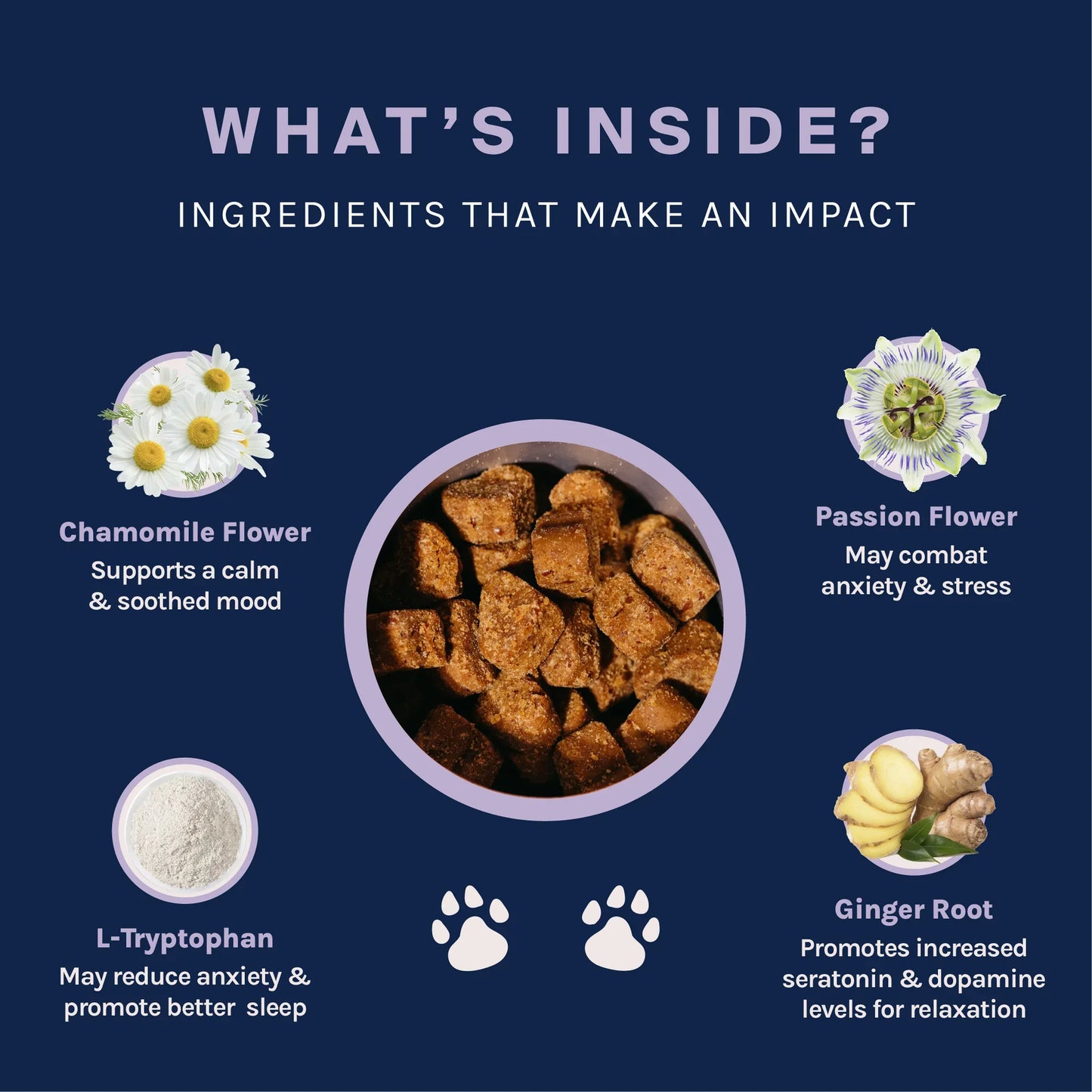 Good Trouble Pets Calming Supplement – Fruit Blend Flavor (30 Chews)