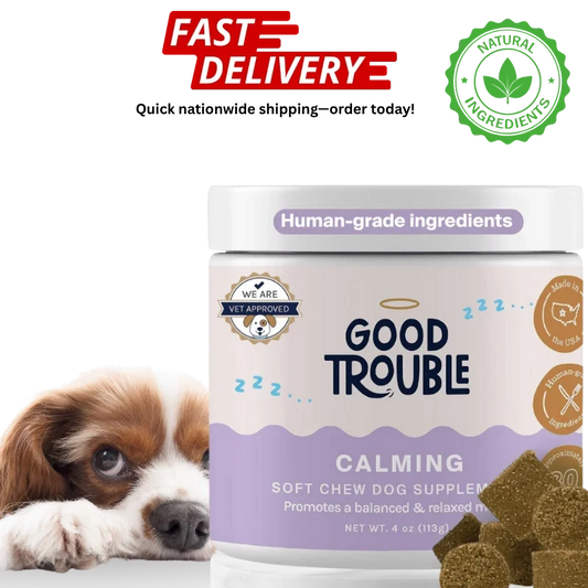 Good Trouble Pets Calming Supplement – Fruit Blend Flavor (30 Chews)