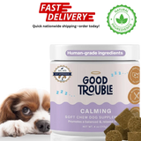 Good Trouble Pets Calming Supplement – Fruit Blend Flavor (30 Chews)