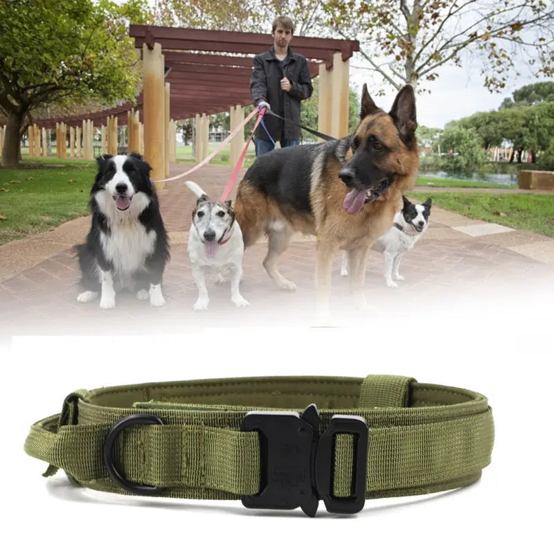 Tactical Dog Collar & Leash Set – Military-Grade for Training
