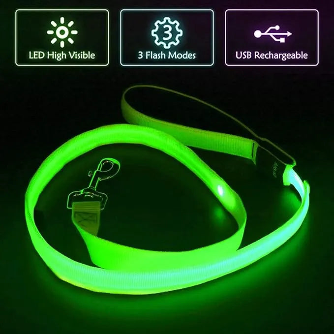 Luminous Dog Lead | Rechargeable Glowing Leash