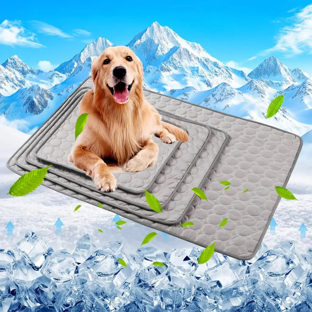 Self-Cooling Pet Mat – Keep Your Pet Comfortable This Summer