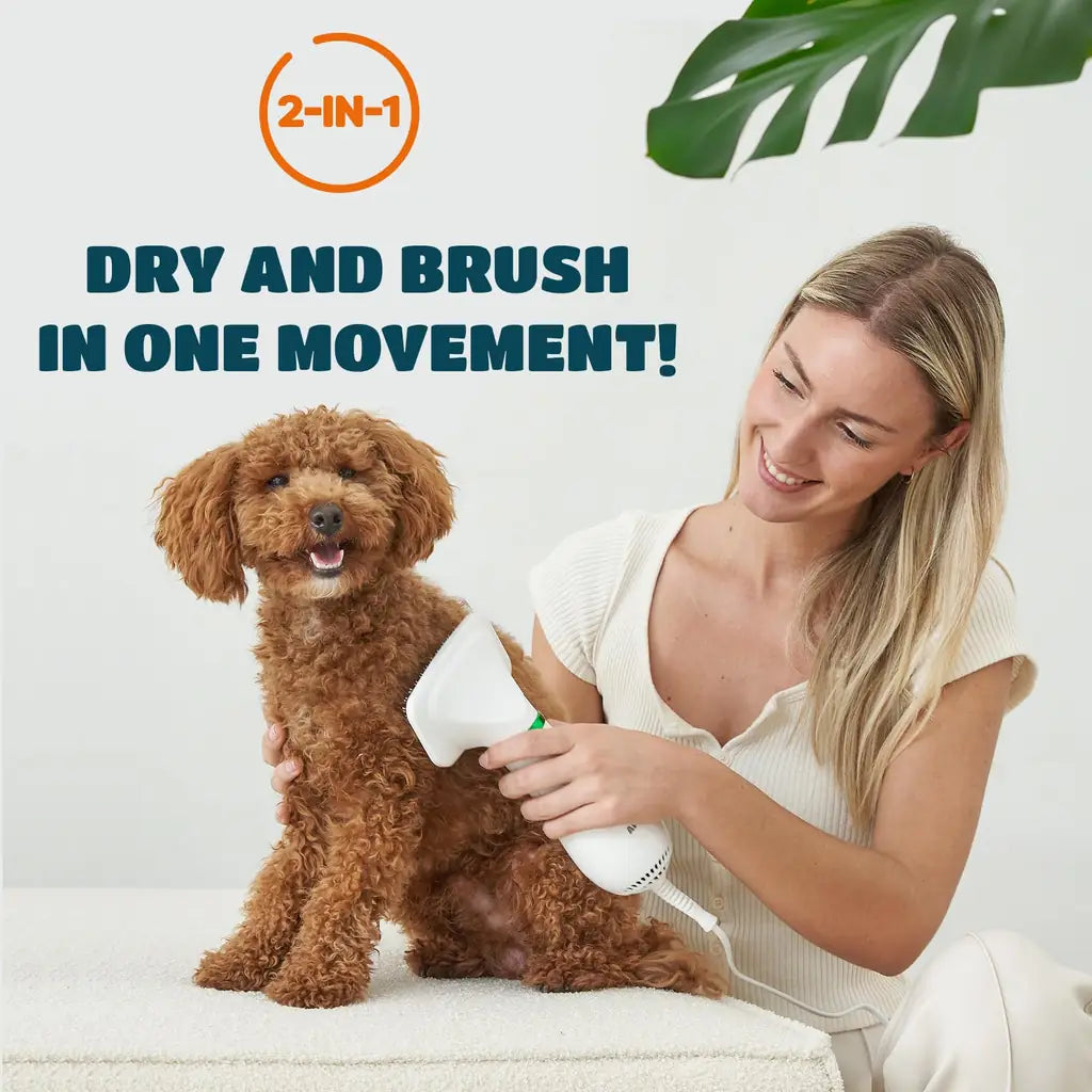 2-in-1 Hot Air Pet Hair Dryer & Comb – Grooming Tool for Cats & Dogs