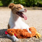 Best Pet Supplies Squeaky Crinkle Dog Chew Toy
