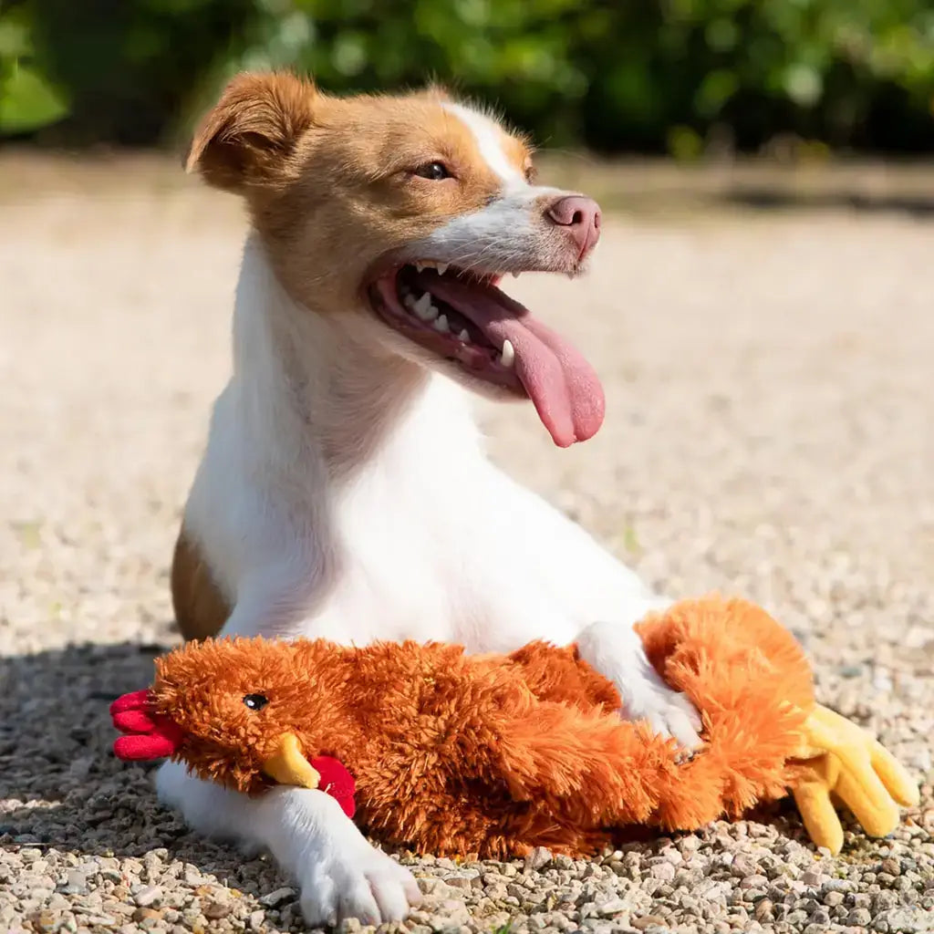 Best Pet Supplies Squeaky Crinkle Dog Chew Toy