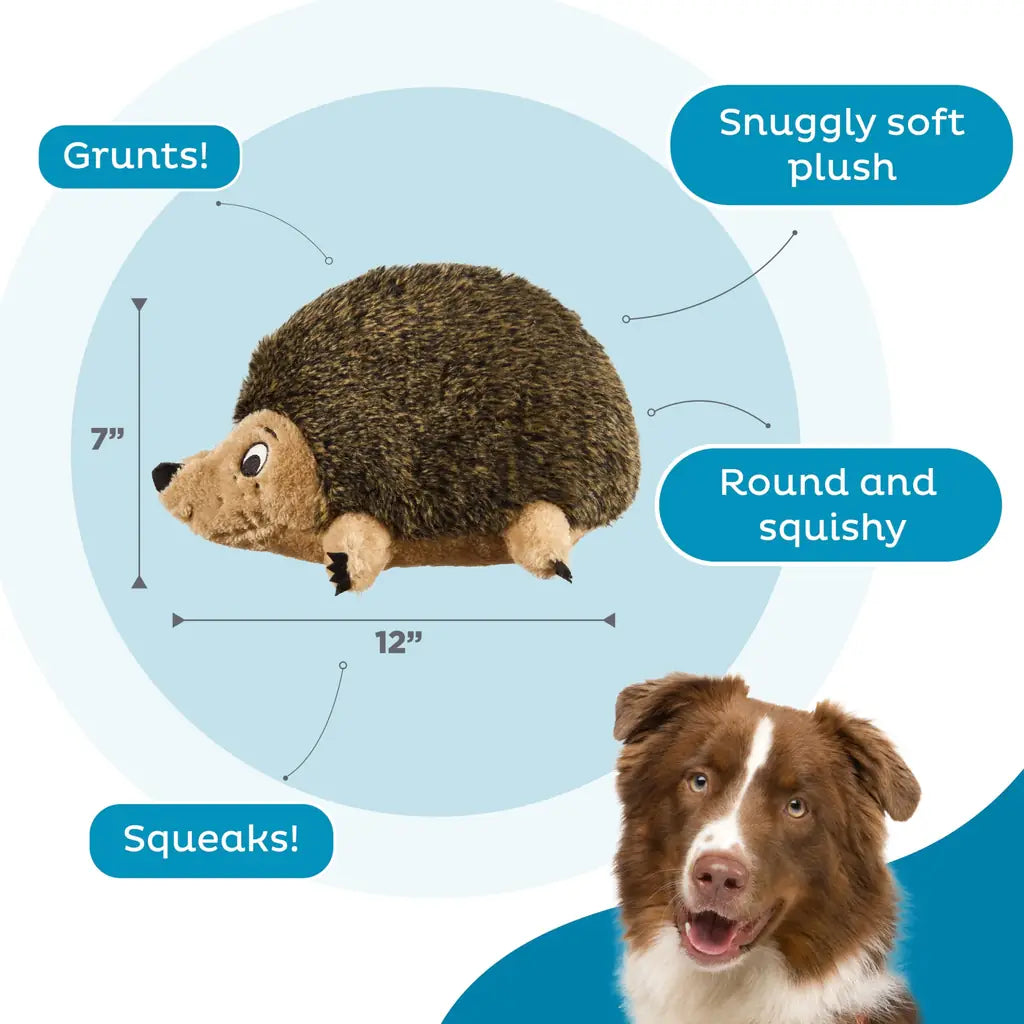 Outward Hound Hedgehogz Soft Plush Squeaky Dog Toy