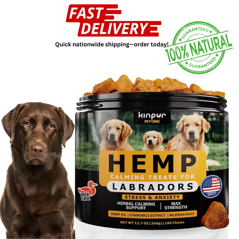 Calming Chews for Labrador Dogs with Valerian Root and Hemp Oil   Aid