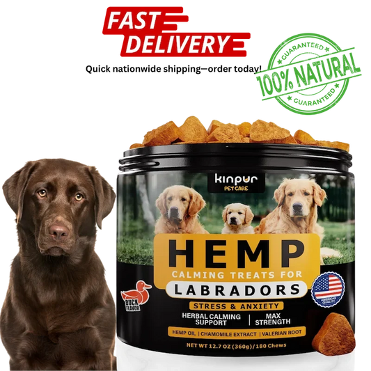 Calming Chews for Labrador Dogs with Valerian Root and Hemp Oil   Aid
