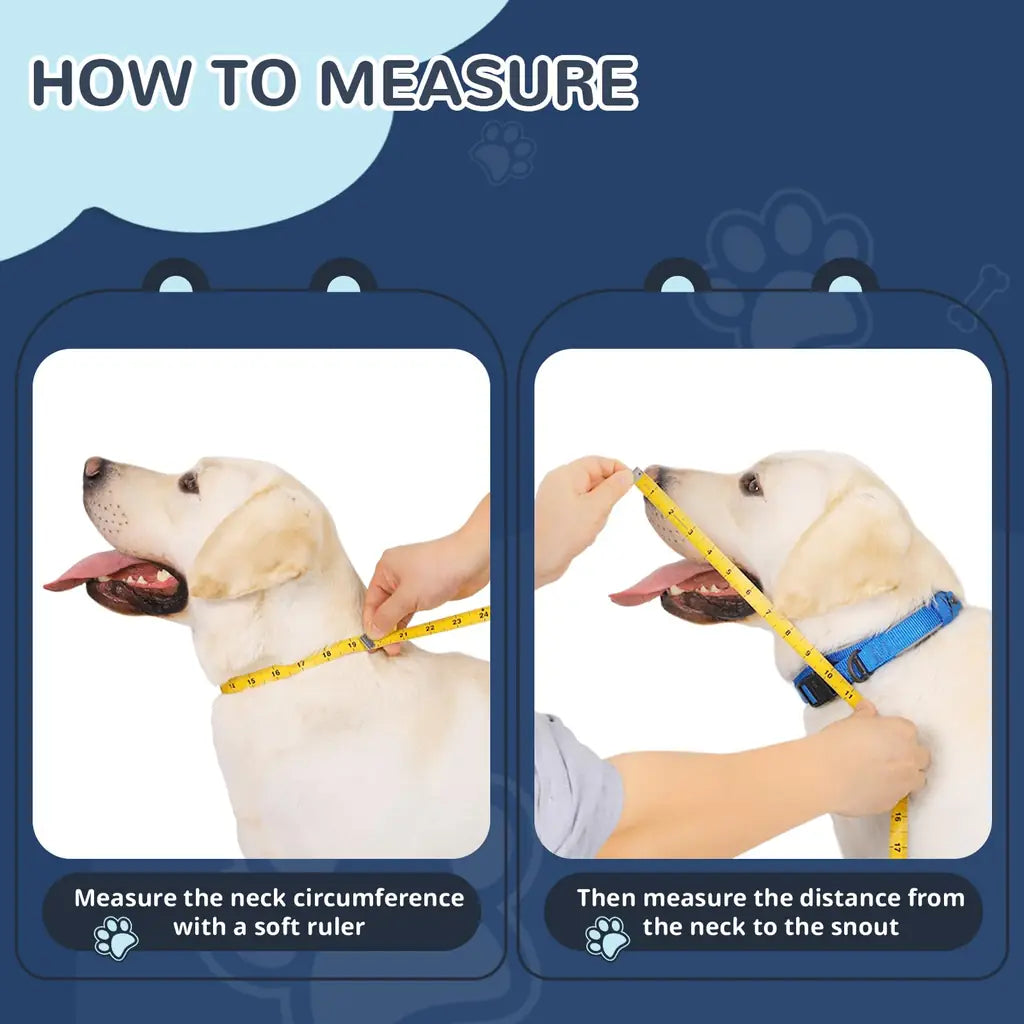Sponge Core Dog Recovery Donut Collar – Soft Cone Alternative with Clear Vision Shield