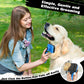 3-in-1 Dog Grooming Set | Slicker Brush, Dematting Rake & Flea Comb