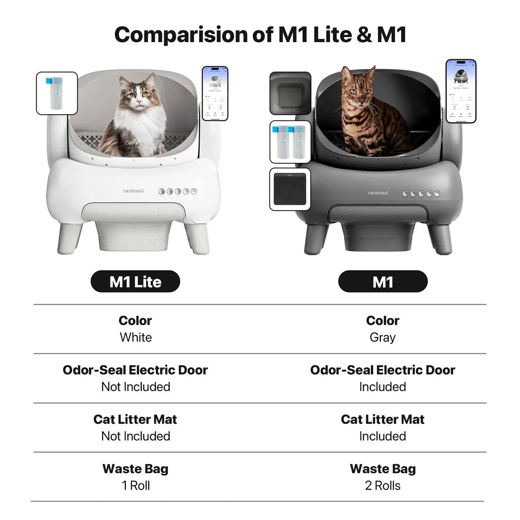Cleaning Cat Litter Box That Works Around Your Life