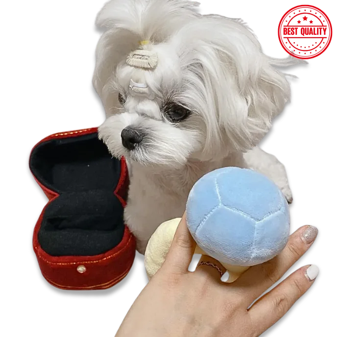 Interactive Dog Toy Ring – Voice Squeaker & Treat Dispenser