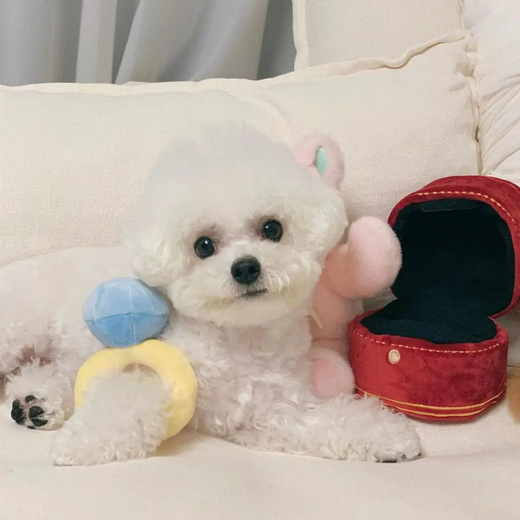 Interactive Dog Toy Ring – Voice Squeaker & Treat Dispenser