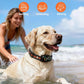 2-in-1 Dog Bark Collar & Shock Collar — Tallentrol IPX7 Waterproof E-Collar with Remote, 3300FT Range, for Small Medium Large Dogs (5–120 lbs)