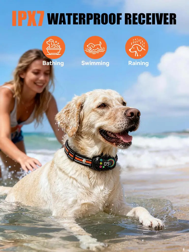 2-in-1 Dog Bark Collar & Shock Collar — Tallentrol IPX7 Waterproof E-Collar with Remote, 3300FT Range, for Small Medium Large Dogs (5–120 lbs)