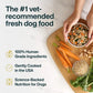 Just Food for Dogs JustFresh | Fresh Wet Dog Food & Topper | Human Grade, No Preservatives | 4 Flavors