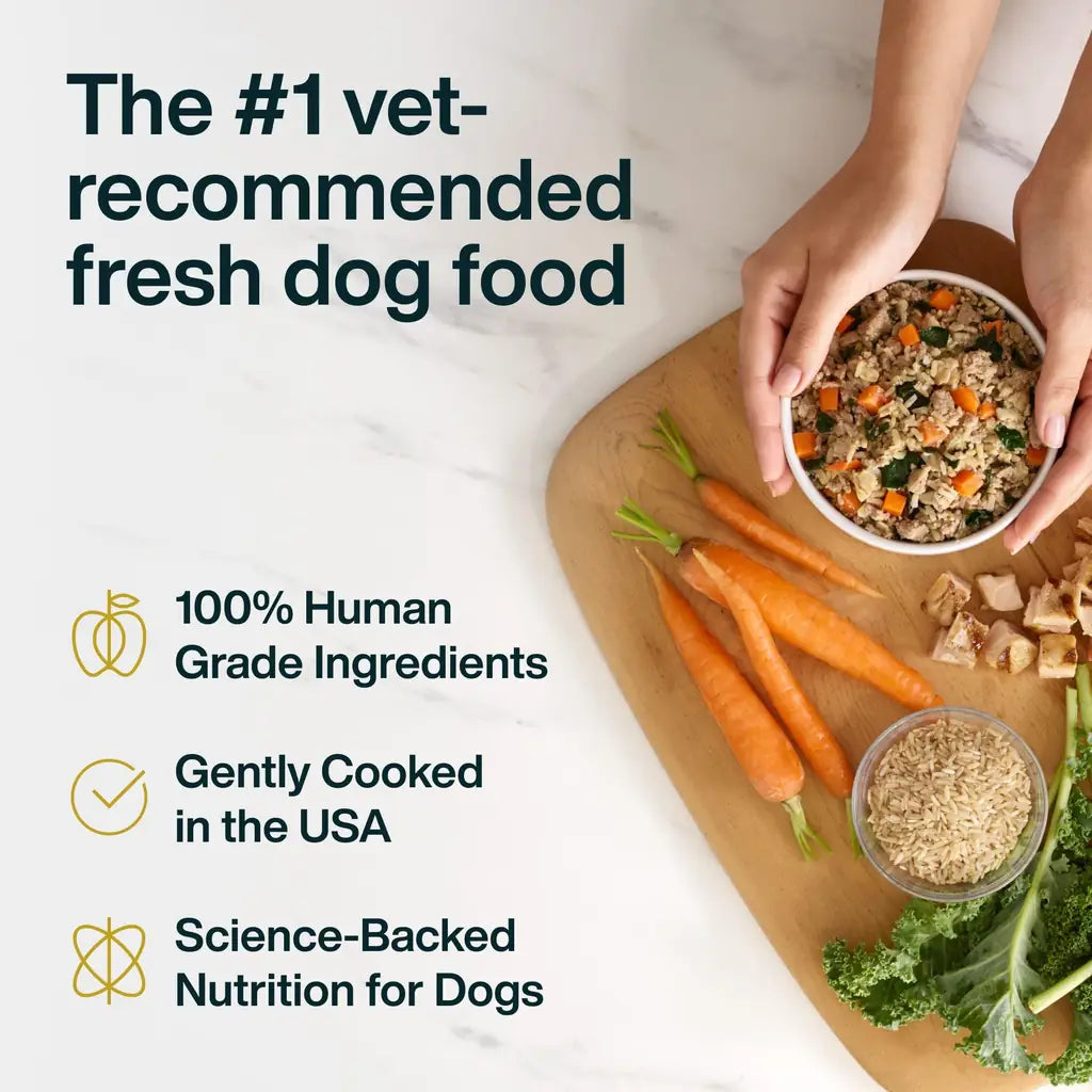 Just Food for Dogs JustFresh | Fresh Wet Dog Food & Topper | Human Grade, No Preservatives | 4 Flavors