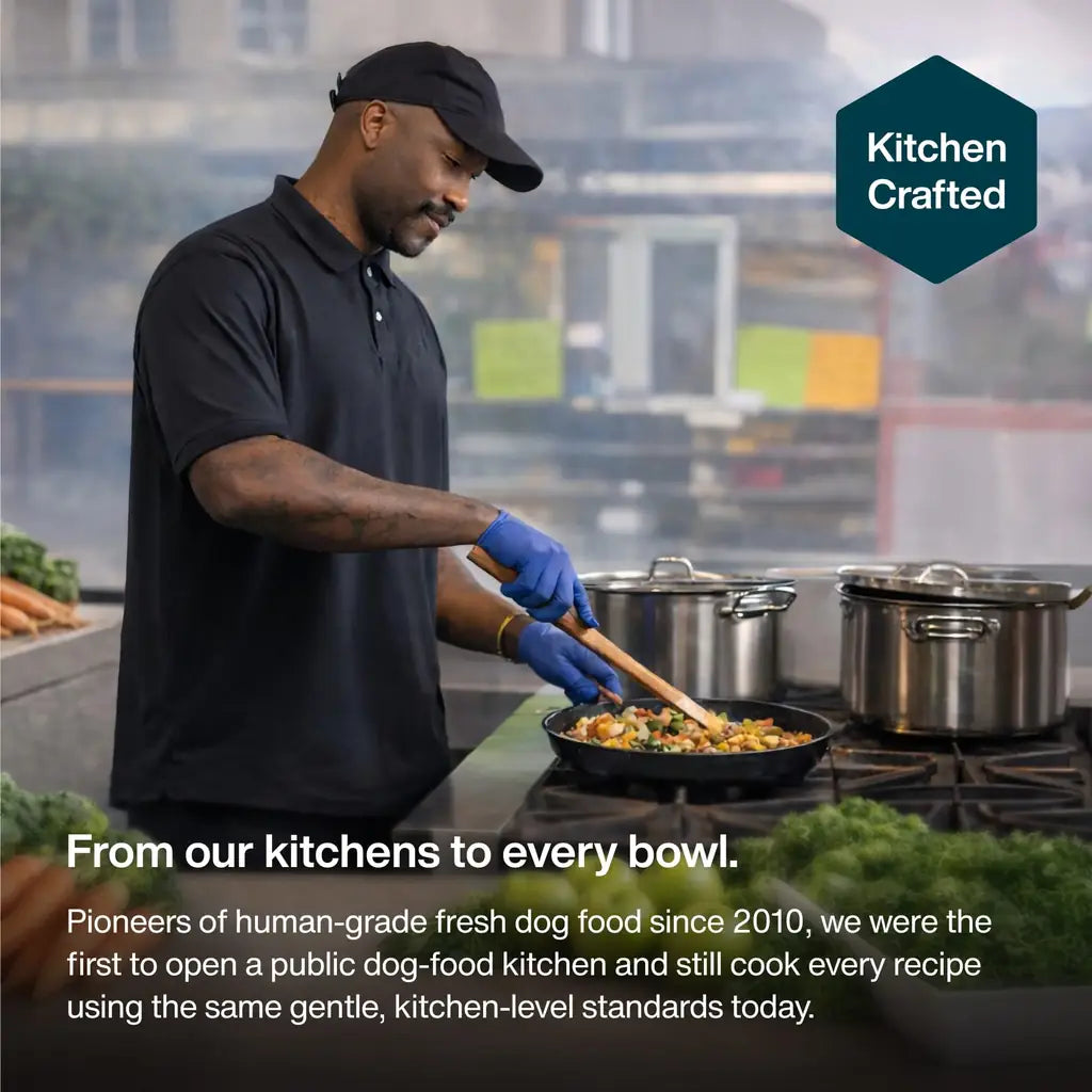Just Food for Dogs JustFresh | Fresh Wet Dog Food & Topper | Human Grade, No Preservatives | 4 Flavors