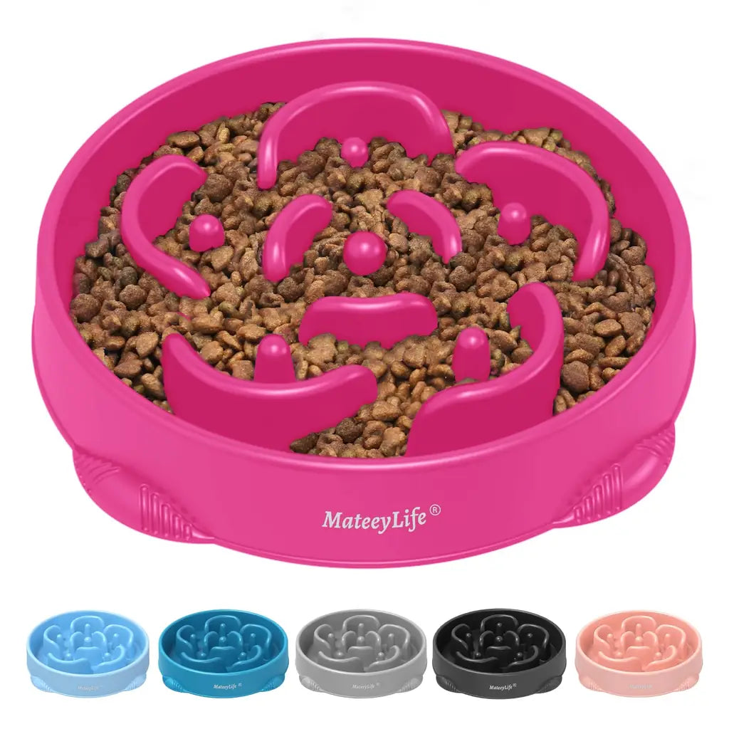 Choking Puzzle Cat Food Bowls That Protect Against Bloat