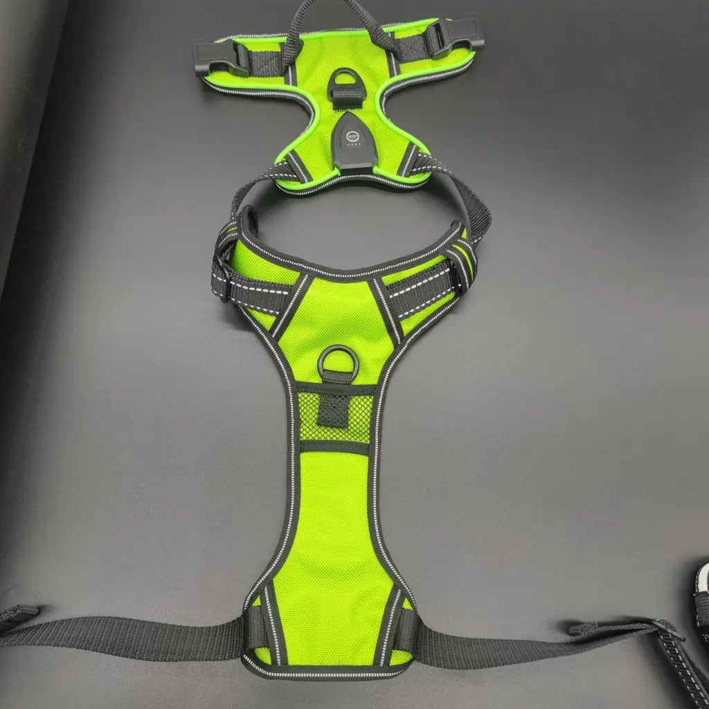 LED Dog Harness with Lights - Rechargeable Light Up Vest & Leash Set (USB Charging)