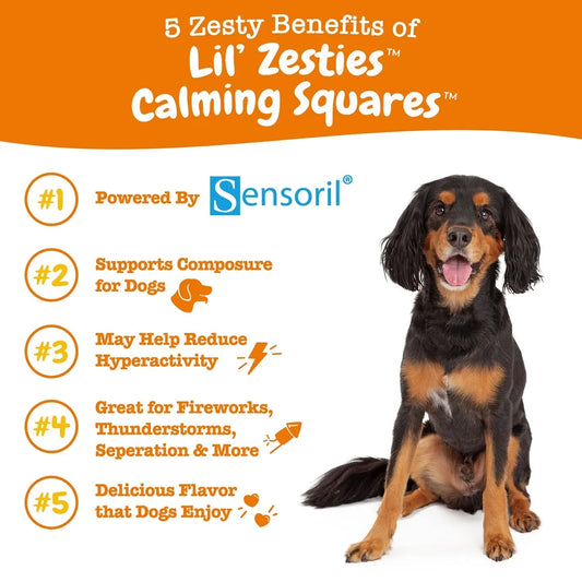 Calming Soft Chews for Dogs – Zesty Paws Lil Zesties Smoked Chicken