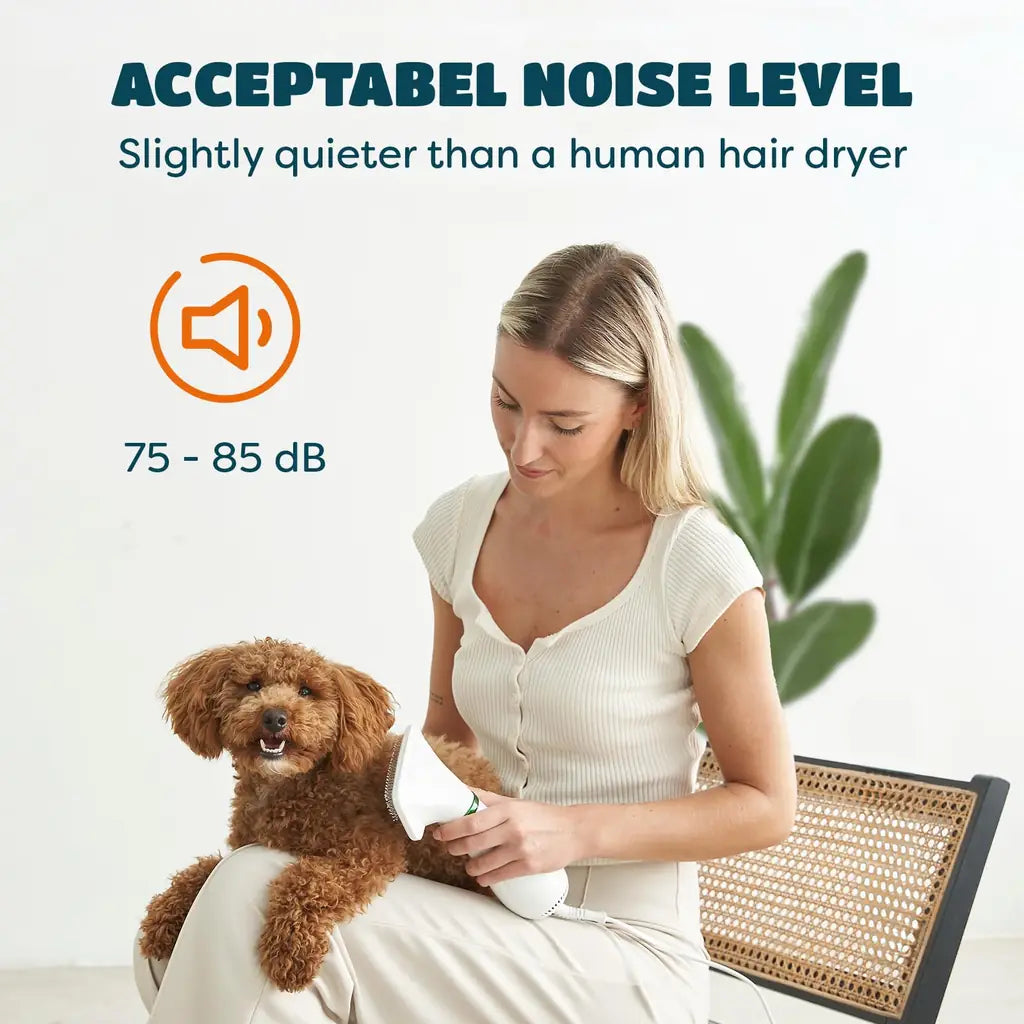 2-in-1 Hot Air Pet Hair Dryer & Comb – Grooming Tool for Cats & Dogs