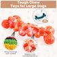 Dog Chew Toys for Aggressive Chewers – 2 Pack Indestructible