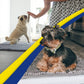 Muddy Mat® Super Absorbent Door Mat Indoor | Microfiber Chenille Entryway Rug | Non-Slip, Machine Washable | 19"x30"