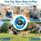 Tough Dog Toys for Aggressive Chewers – Indestructible Nylon Chew Toy with Squeaker
