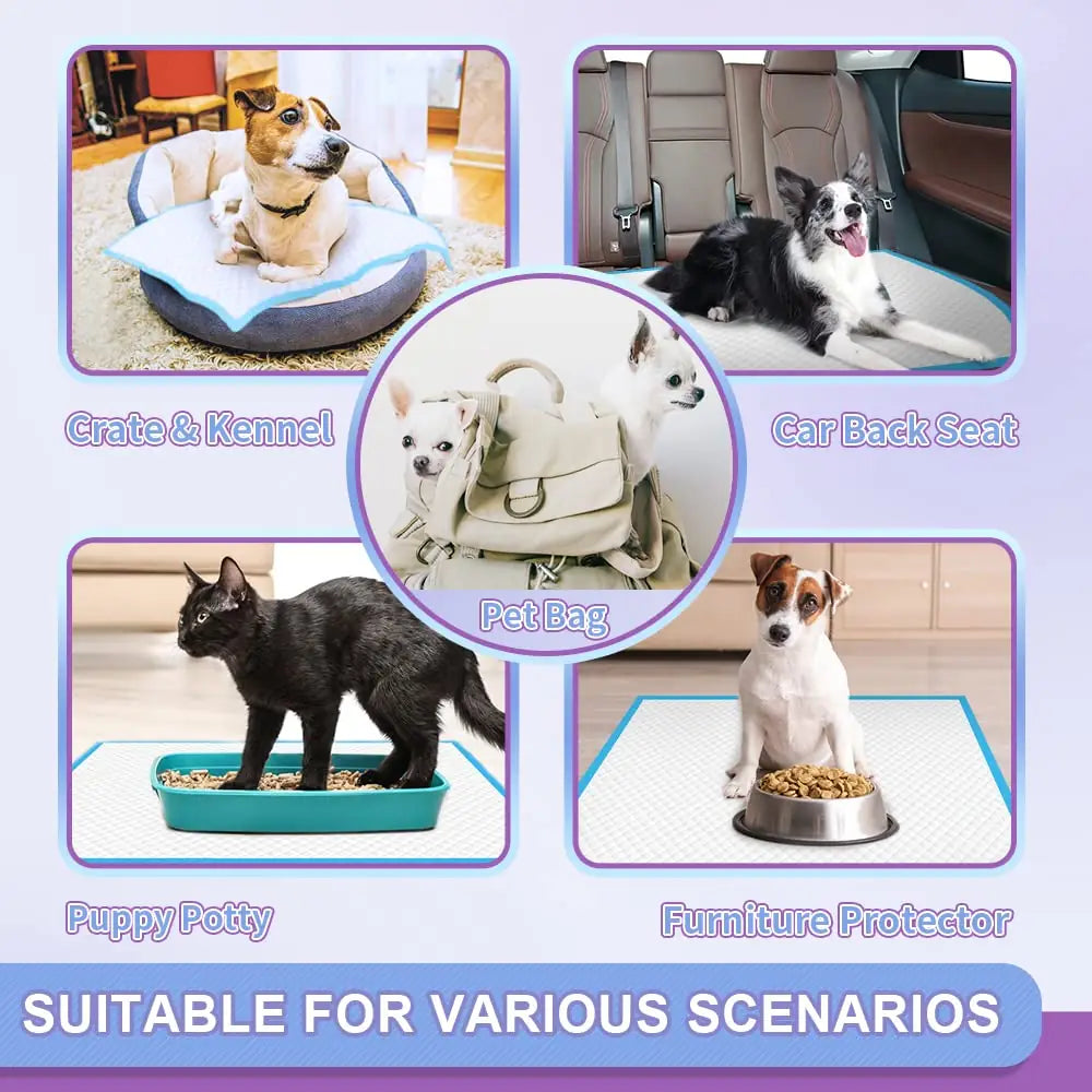 IMMCUTE Puppy Pee Pads 22"x23" & 30"x28" | 6-Layer Super Absorbent Leak-Proof Disposable Dog Training Pads