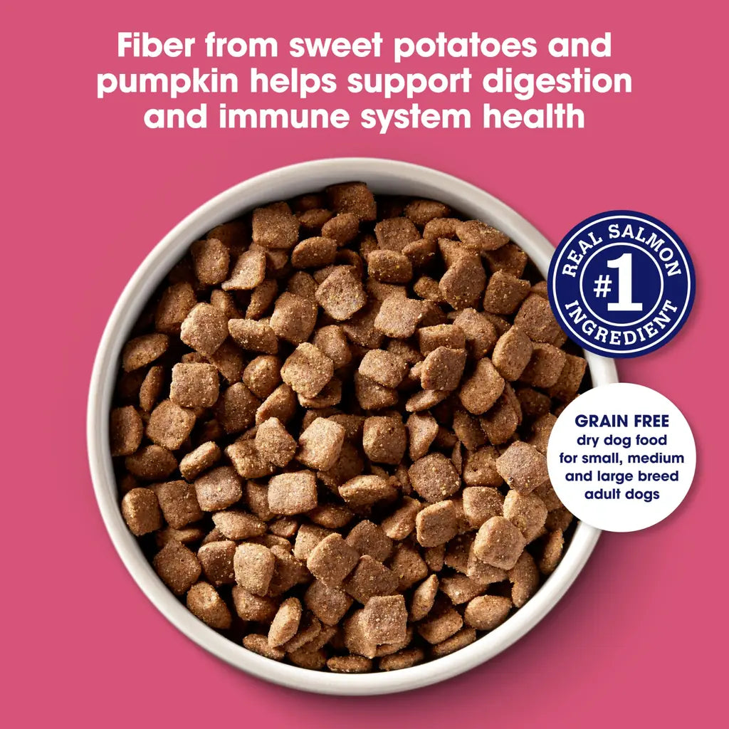 Nature's Recipe Grain Free Salmon, Sweet Potato & Pumpkin Dry Dog Food