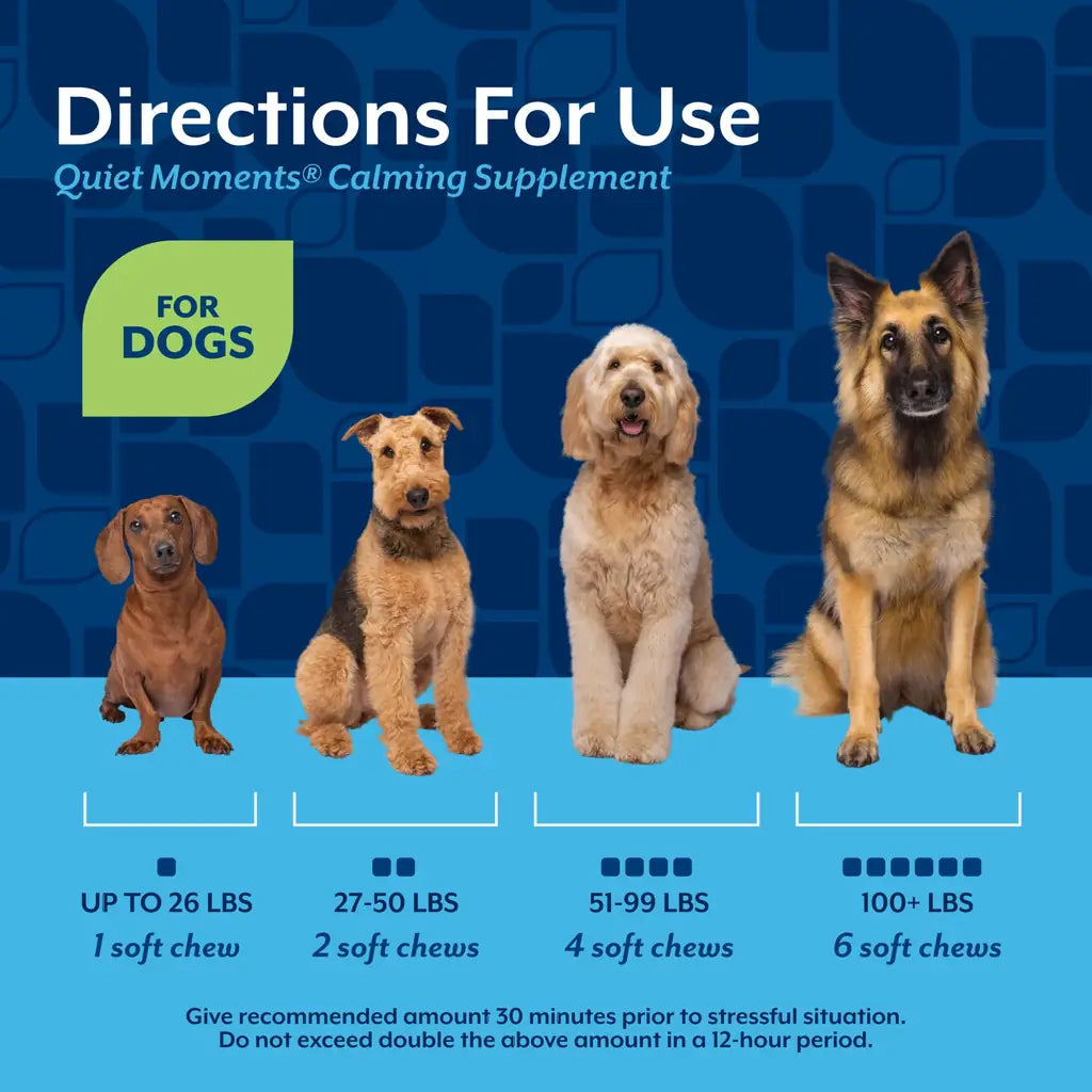NaturVet Quiet Moments Calming Soft Chews for Dogs with Melatonin