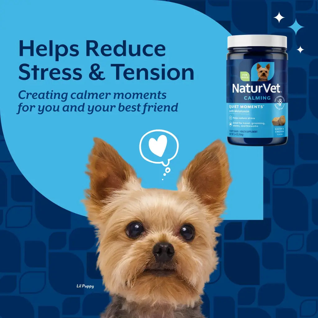 NaturVet Quiet Moments Calming Soft Chews for Dogs with Melatonin