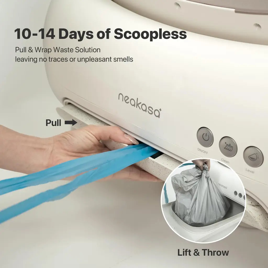 Cleaning Cat Litter Box That Works Around Your Life