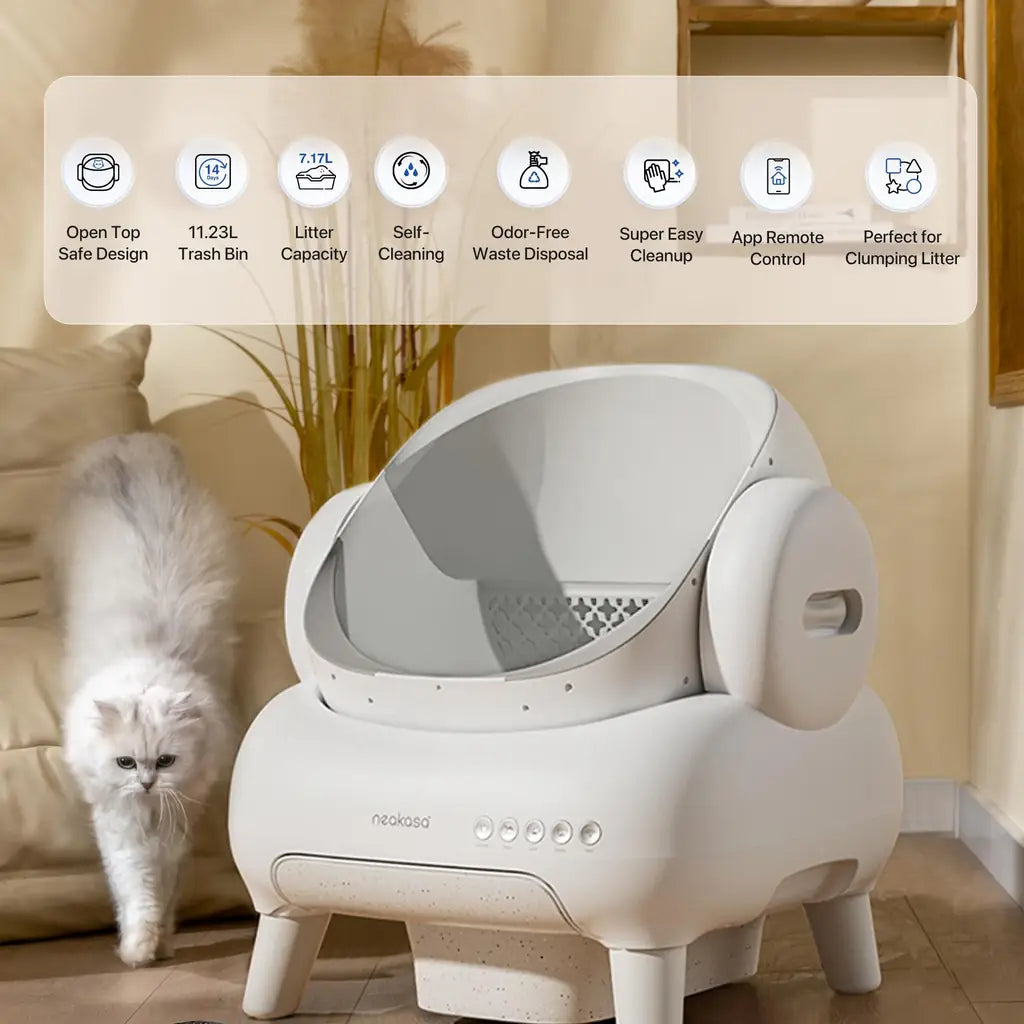 Cleaning Cat Litter Box That Works Around Your Life