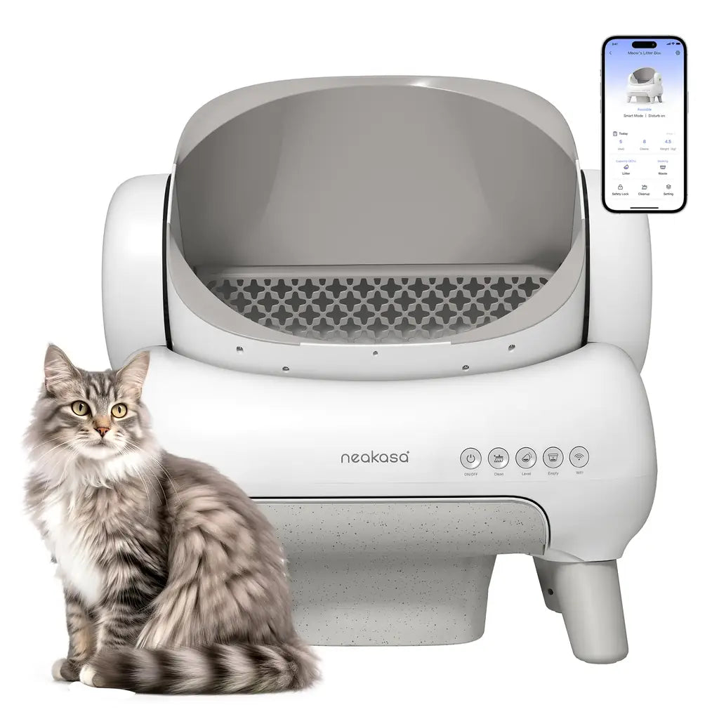 Cleaning Cat Litter Box That Works Around Your Life