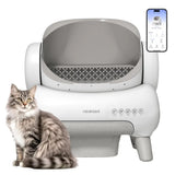 Cleaning Cat Litter Box That Works Around Your Life
