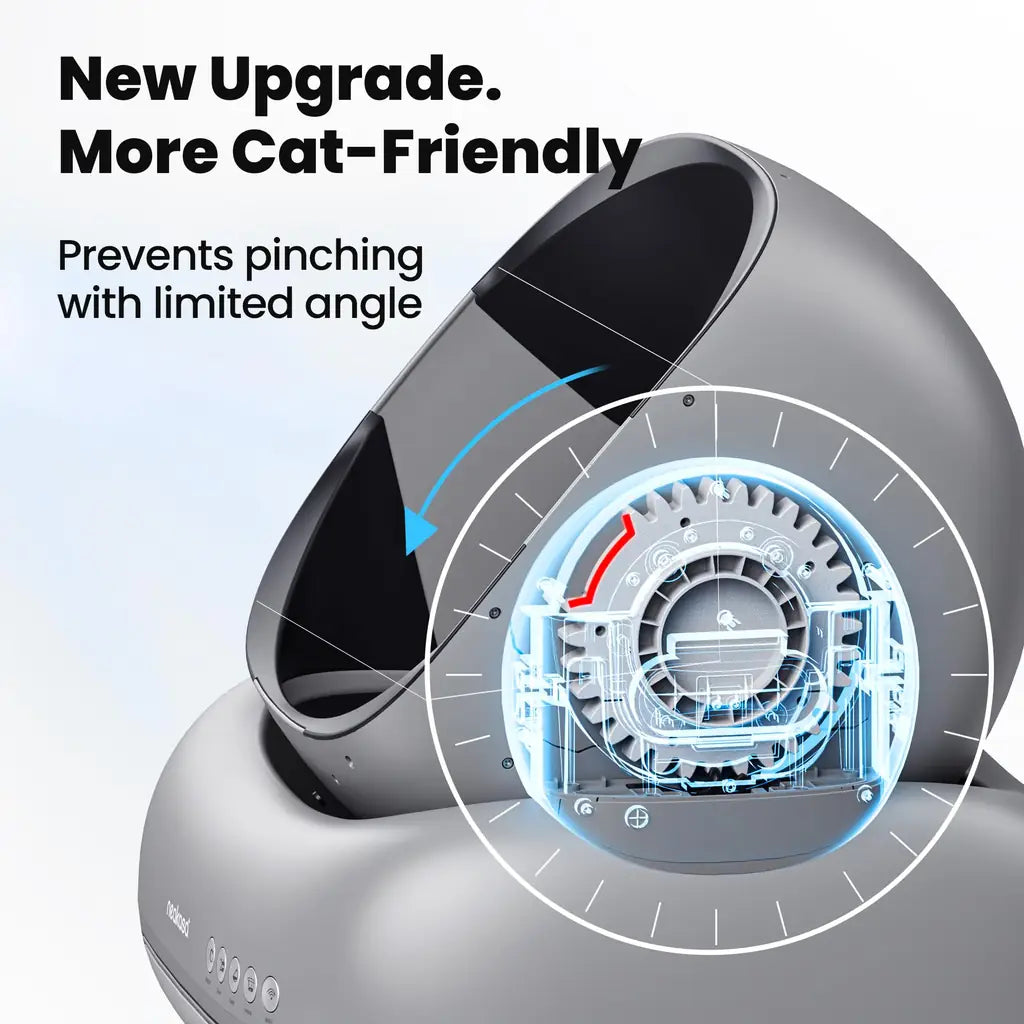 Cleaning Cat Litter Box That Works Around Your Life