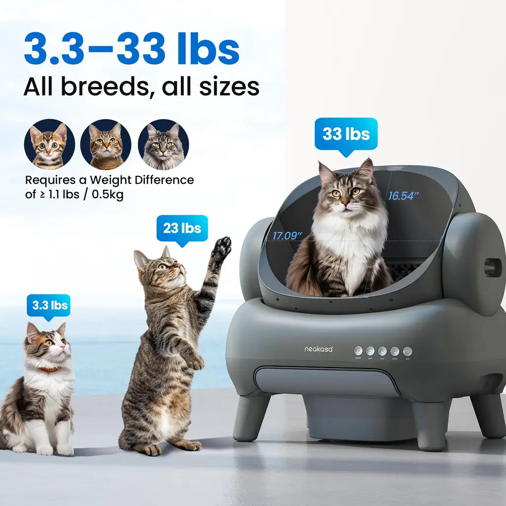 Cleaning Cat Litter Box That Works Around Your Life