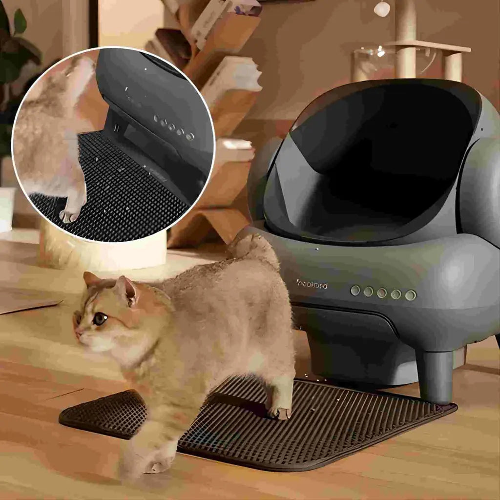 Cleaning Cat Litter Box That Works Around Your Life