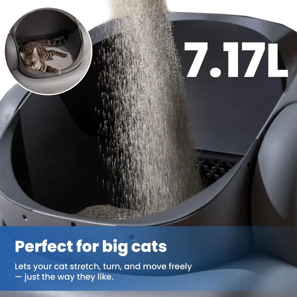 Cleaning Cat Litter Box That Works Around Your Life