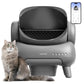 Cleaning Cat Litter Box That Works Around Your Life