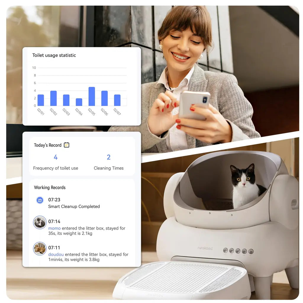 Cleaning Cat Litter Box That Works Around Your Life