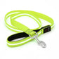 Luminous Dog Lead | Rechargeable Glowing Leash