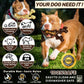 SIHRMIU 2 Pack Dog Chew Toys for Aggressive Chewers – Nylon Bone for Medium & Large Breeds, Teeth Cleaning