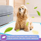 IMMCUTE Puppy Pee Pads 22"x23" & 30"x28" | 6-Layer Super Absorbent Leak-Proof Disposable Dog Training Pads