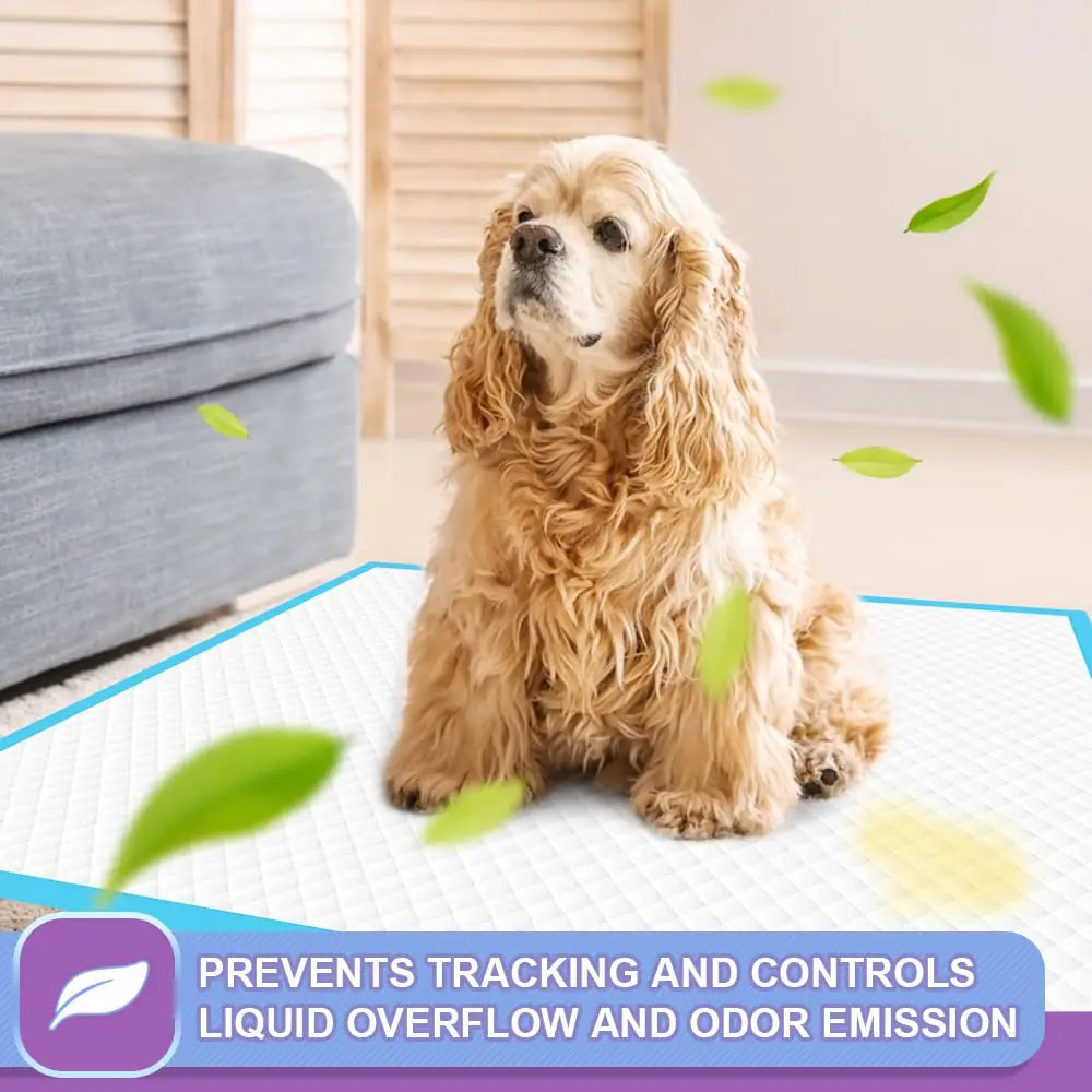 IMMCUTE Puppy Pee Pads 22"x23" & 30"x28" | 6-Layer Super Absorbent Leak-Proof Disposable Dog Training Pads
