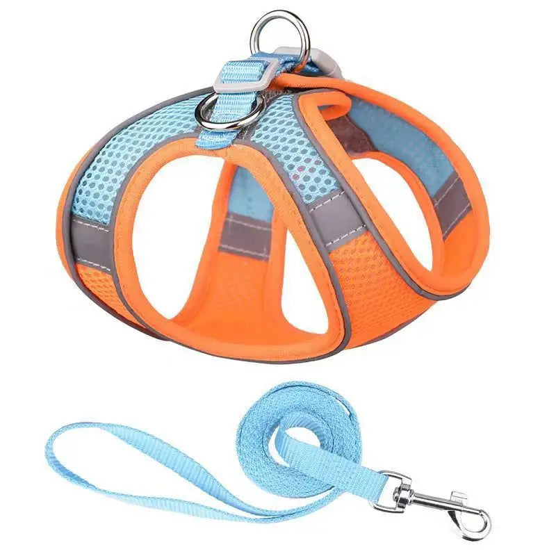 Adventure-Flow Reflective Harness & Leash Set
