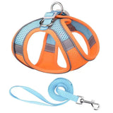 Adventure-Flow Reflective Harness & Leash Set