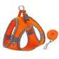 Adventure-Flow Reflective Harness & Leash Set